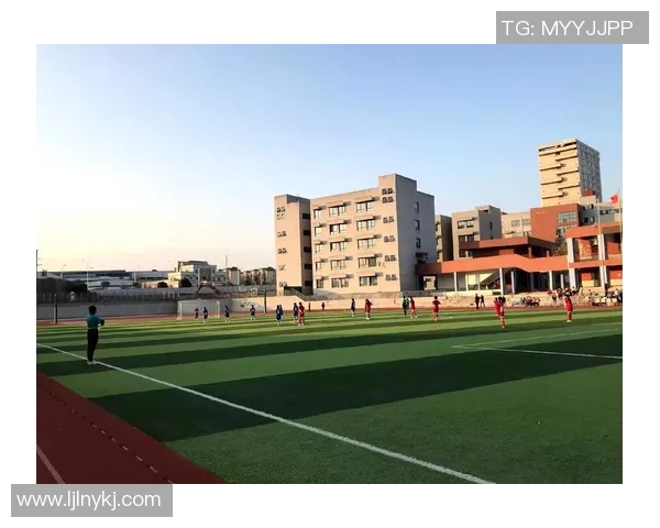 丽江少年足球：培养未来之星的梦想与拼搏之路